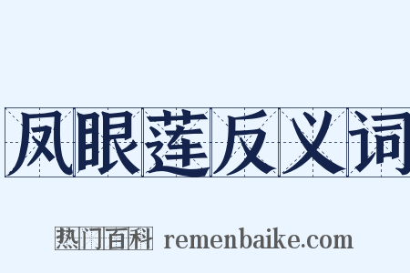 凤眼莲反义词是什么意思的图片